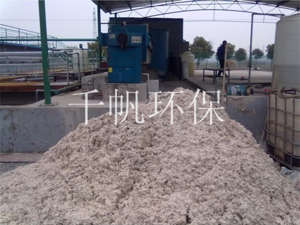 免费看人妻换人妻互换A片爽