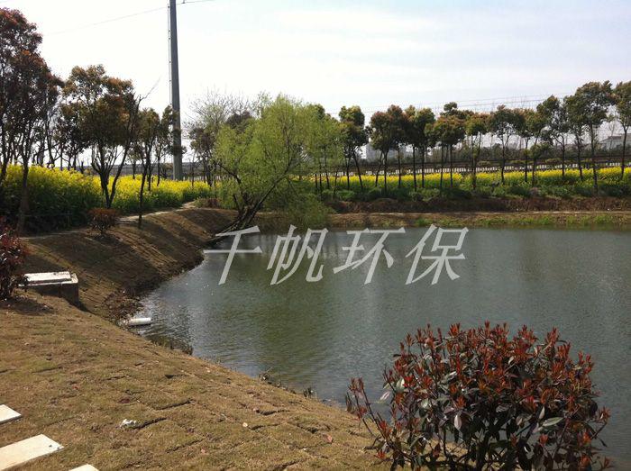 免费看人妻换人妻互换A片爽
