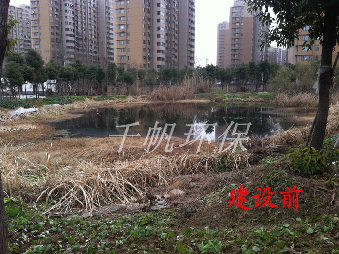 免费看人妻换人妻互换A片爽