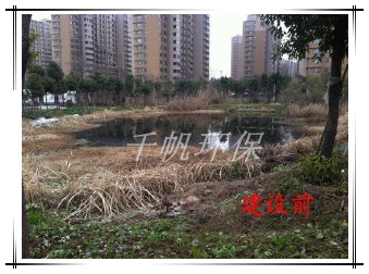 免费看人妻换人妻互换A片爽