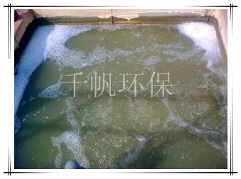 免费看人妻换人妻互换A片爽