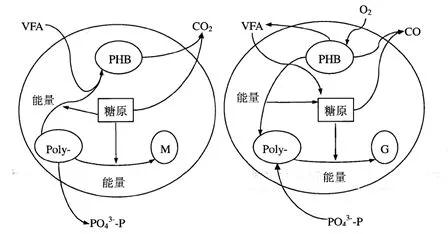图1.jpg 图1.jpg