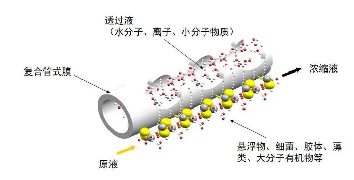 微滤(MF)膜技术.jpg 微滤(MF)膜技术.jpg